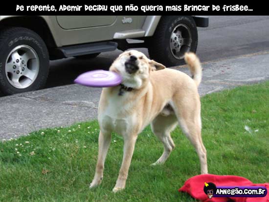 frisbee