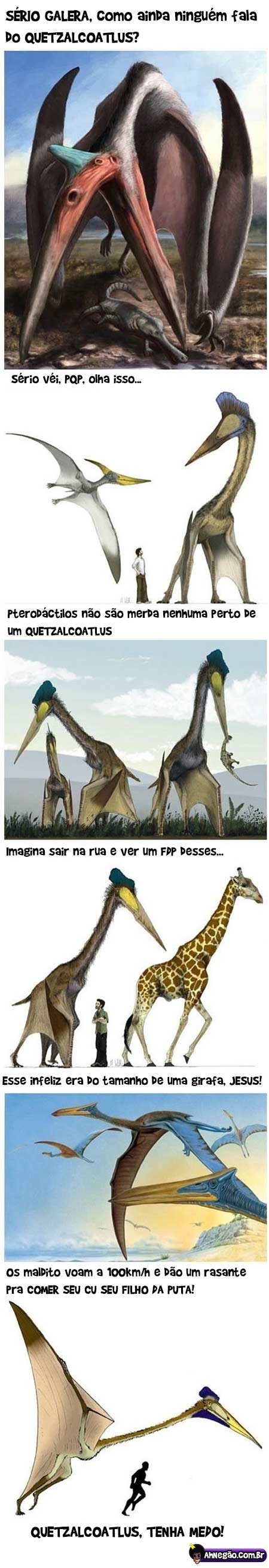 quetzalcoatlus