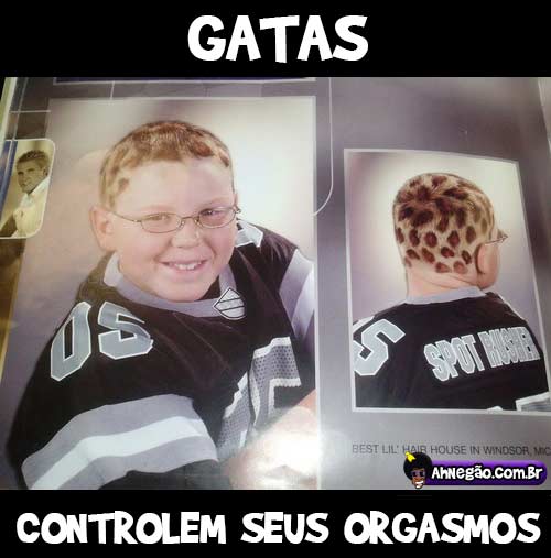 gatas