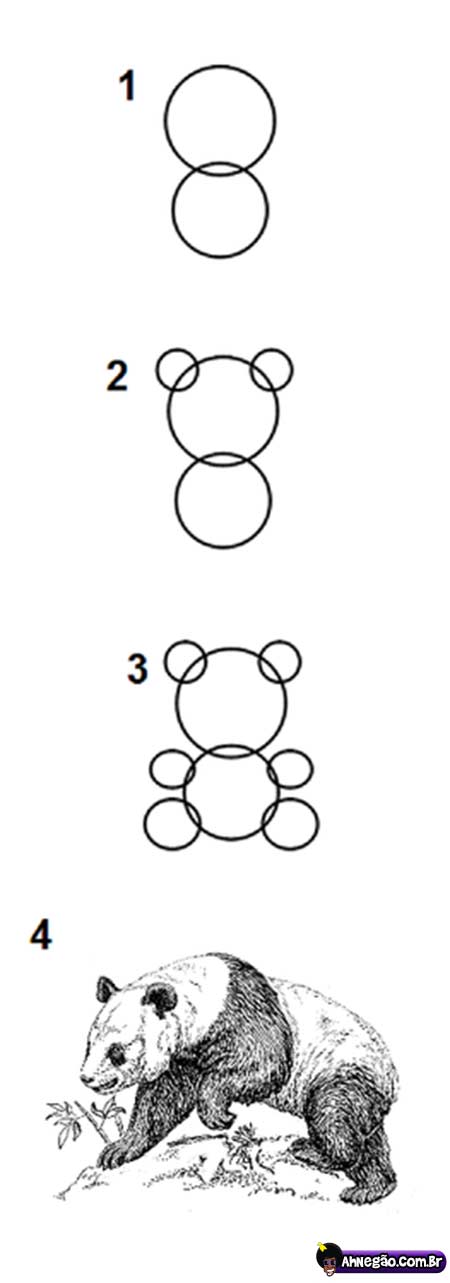 Como desenhar um panda - Guias fáceis de desenho passo a passo