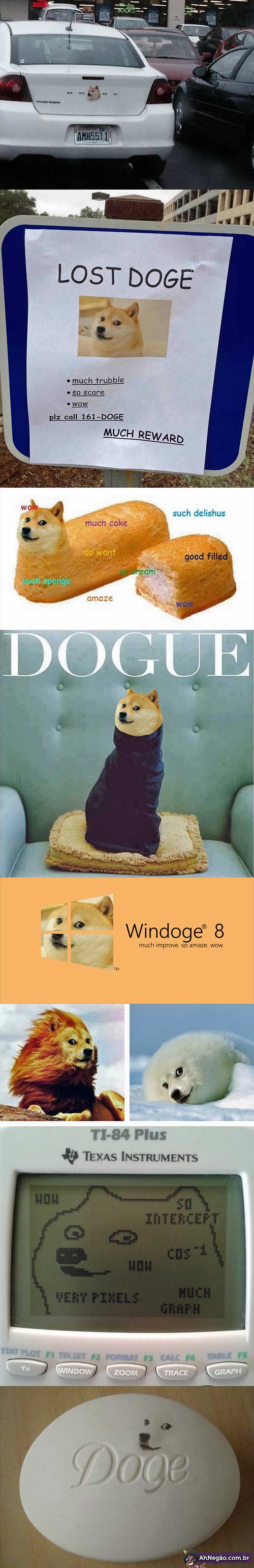 doge