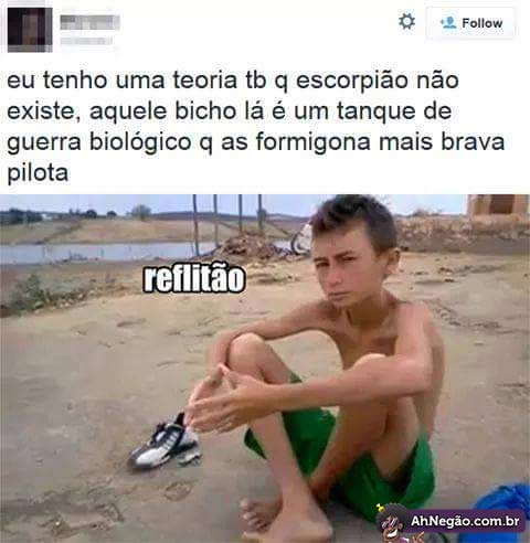 reflita