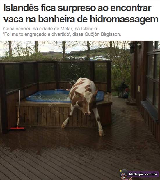 vaca